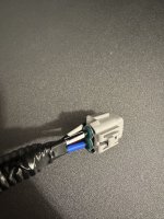IMG_2583.jpeg