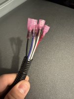 IMG_2584.jpeg