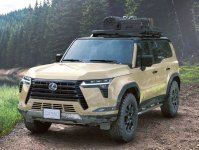 gx550-roof-rack.jpg