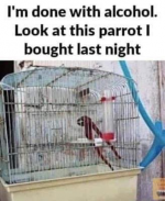 1745935607987.png