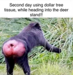 1747847115710.png
