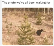 1747917048276.png