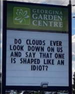 1748608072631.png