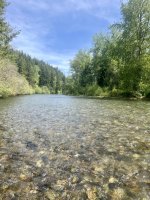 IMG_0445.jpeg