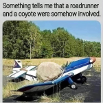 1749556545241.png