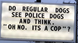 1749834300745.png