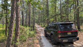 Photo contest thumbnail