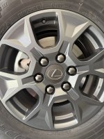 IMG_0216.jpeg