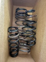 2024Springs.webp