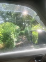 IMG_7043.jpeg