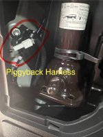 IMG_5505.jpeg