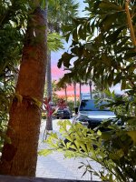 IMG_6530.jpeg