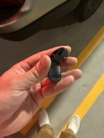 IMG_3637.jpeg