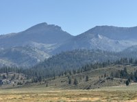 IMG_1664.jpeg