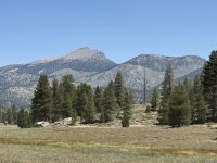 IMG_1618.jpeg