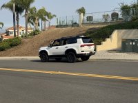 IMG_8381.jpeg