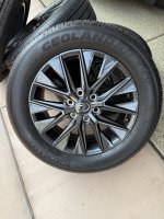 IMG_9795.jpeg