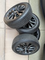 IMG_9794.jpeg