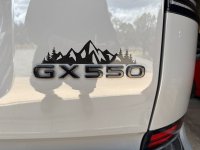 IMG_9111.jpeg