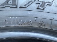 IMG_2760(1).jpeg