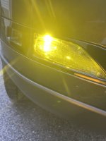 IMG_6313.jpeg