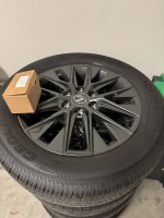 IMG_6085.jpeg