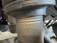 IMG_9322.jpeg