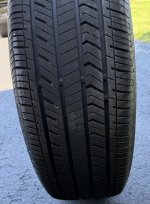 IMG_1245.jpeg