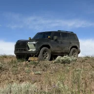 m1w