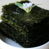 Seaweed_GX_2025