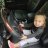 wantsawoodsteeringwheel