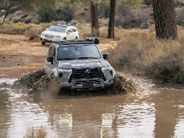 Incognito Lexus GX 550 Photos 🌫️