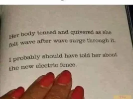 Good Clean Humor and Jokes