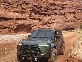 Nori Green Pearl GX 550