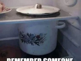 Good Clean Humor and Jokes
