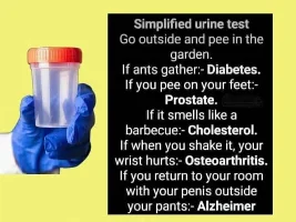 Good Clean Humor and Jokes