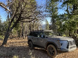 January 2025 - Lexus GX of the Month starts now!