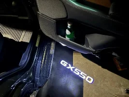 Door emblem projection lights