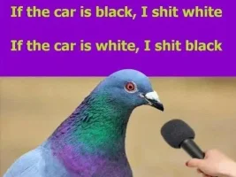 Good Clean Humor and Jokes