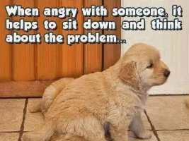 Good Clean Humor and Jokes
