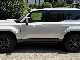 GX Luxury Plus Wheel Exchange and Detail