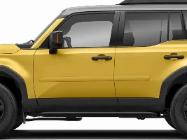 Side body moldings