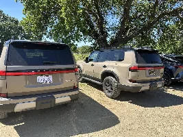 What did you do in your GX today?