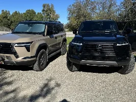 What did you do in your GX today?
