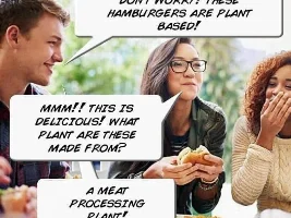 Good Clean Humor and Jokes