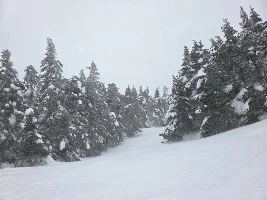 What did you do in your GX today?
