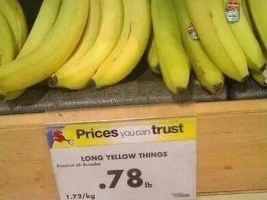 Good Clean Humor and Jokes