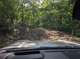 What did you do in your GX today?