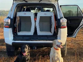 Traveling with Dogs