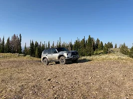What did you do in your GX today?